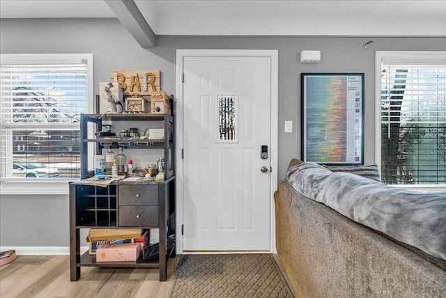 foyer entrance with wood-type flooring