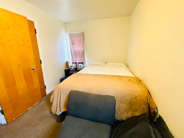 bedroom featuring carpet flooring