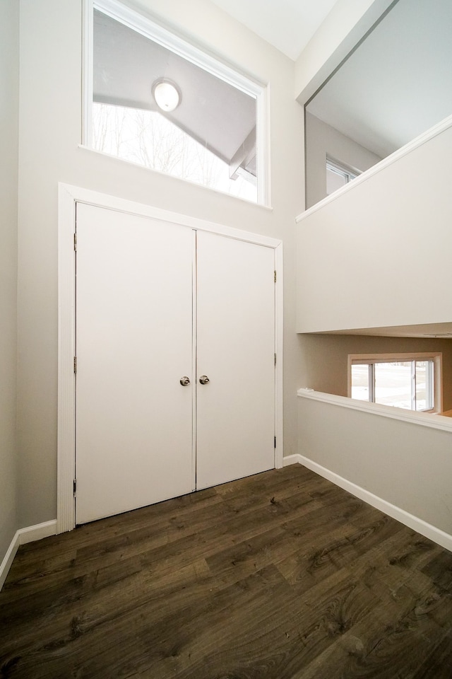 foyer featuring dark hardwood / wood-style floors