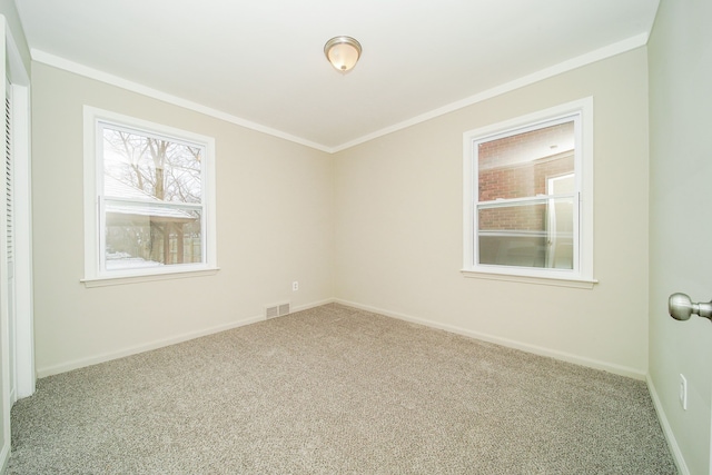 unfurnished room with crown molding and carpet floors