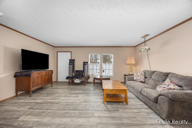 living room featuring crown molding, light hardwood / wood-style flooring, and a textured ceiling