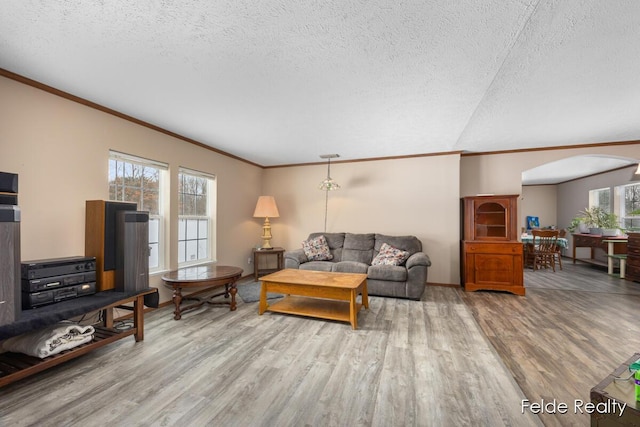 living room featuring hardwood / wood-style floors, ornamental molding, and a textured ceiling