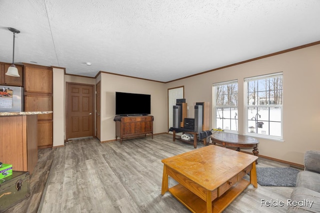 living room featuring hardwood / wood-style flooring, ornamental molding, and a textured ceiling