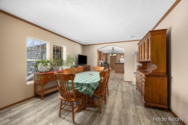 dining space with crown molding, a textured ceiling, and light wood-type flooring