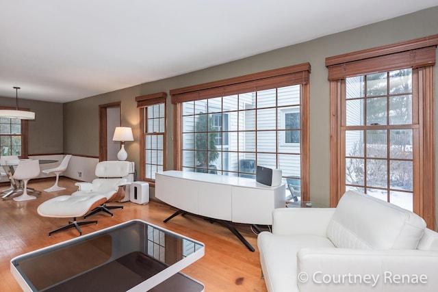 living room featuring a wealth of natural light and light wood-type flooring