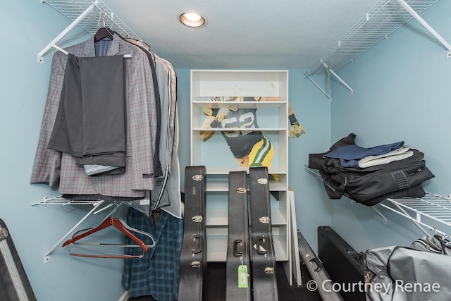 view of spacious closet