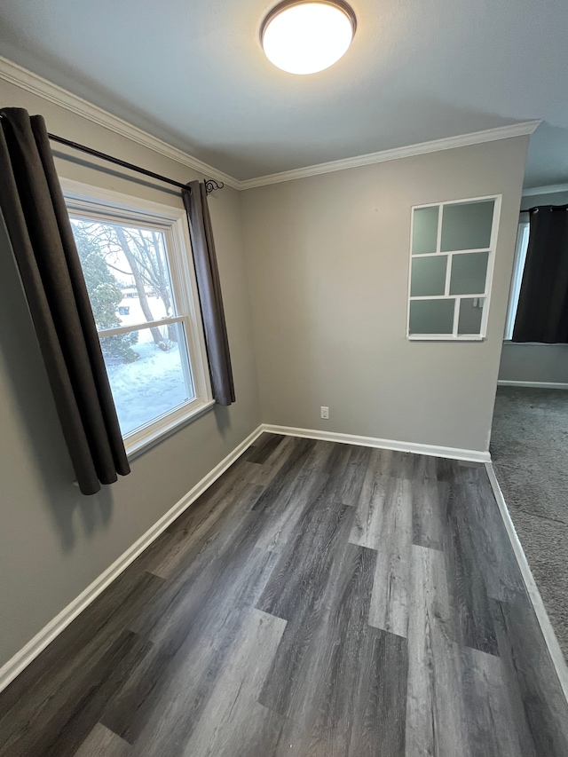 empty room featuring crown molding and dark hardwood / wood-style floors