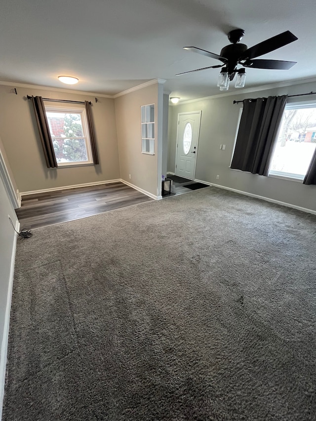 unfurnished living room featuring ceiling fan, ornamental molding, dark colored carpet, and a healthy amount of sunlight