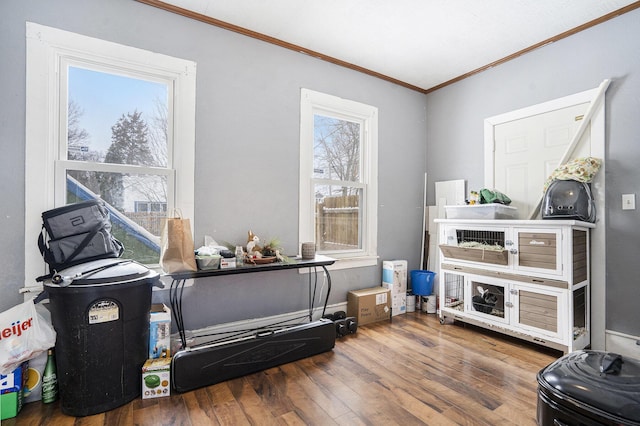 miscellaneous room with ornamental molding and hardwood / wood-style floors