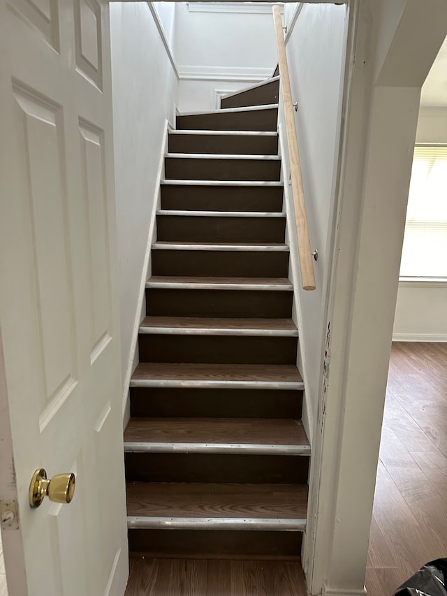 stairs with hardwood / wood-style flooring