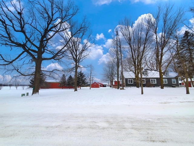 view of yard covered in snow