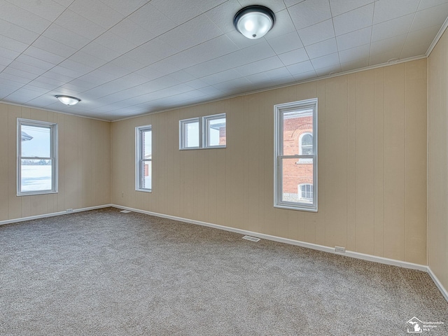 carpeted spare room with plenty of natural light