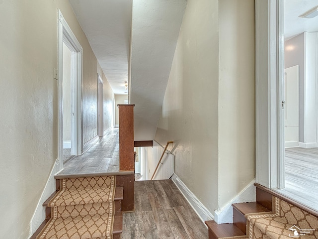 staircase with wood-type flooring