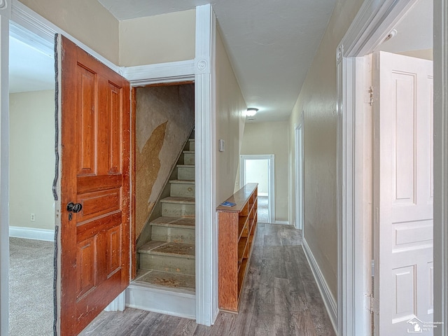 stairway featuring hardwood / wood-style floors