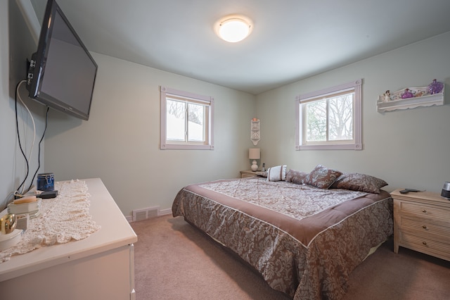 carpeted bedroom with multiple windows