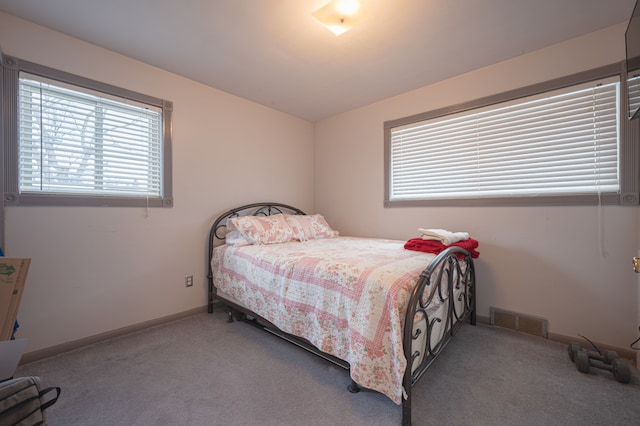 bedroom with carpet flooring