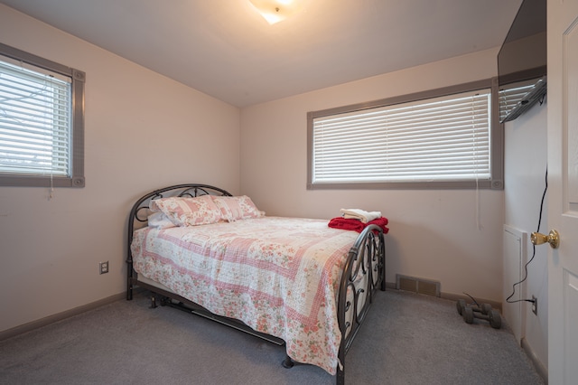 bedroom with carpet floors