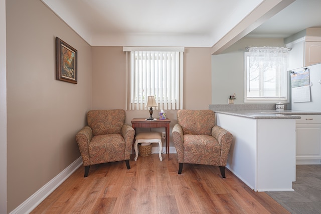 sitting room featuring light wood-type flooring