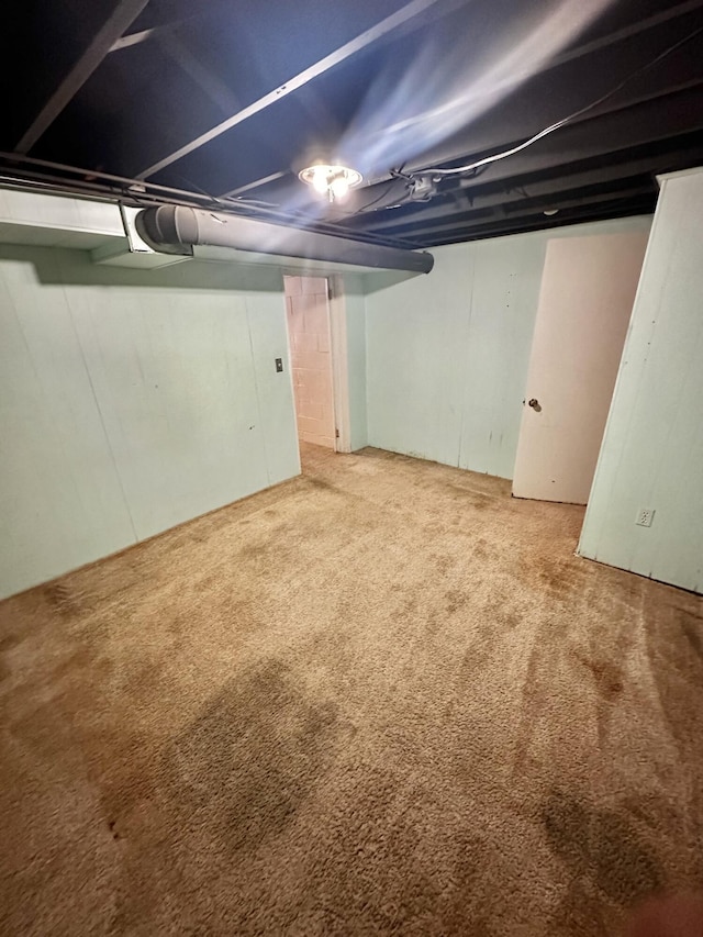 basement featuring carpet floors