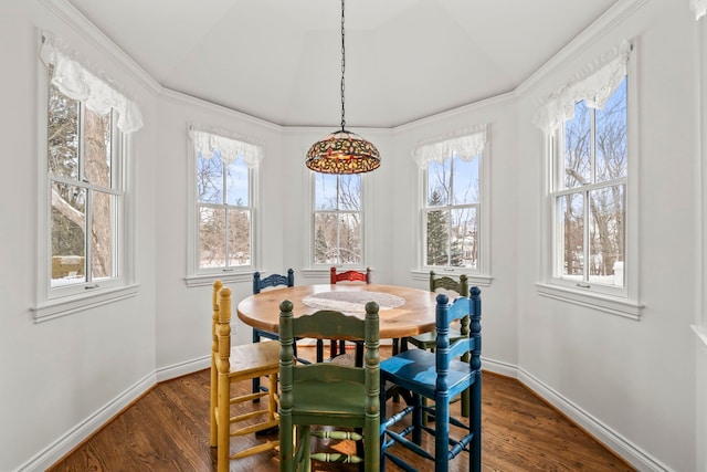 dining room with dark wood-type flooring