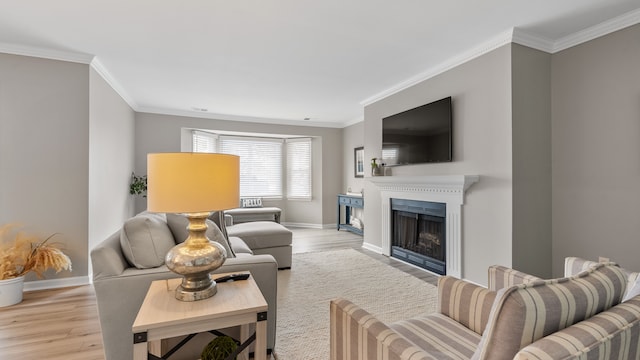 living room with crown molding and light hardwood / wood-style flooring