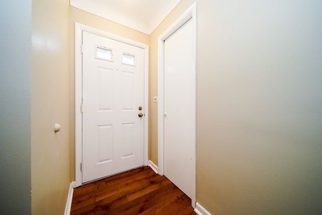 entryway featuring dark wood-type flooring