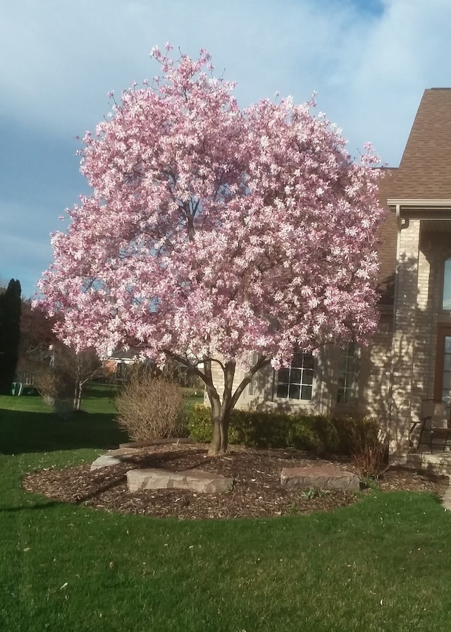 exterior space with a yard