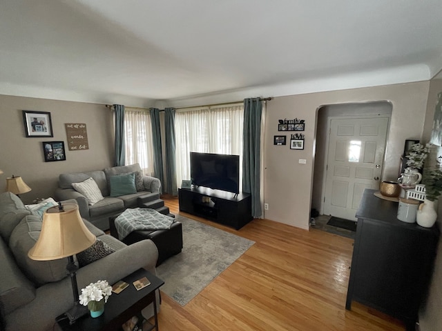 living room with wood-type flooring