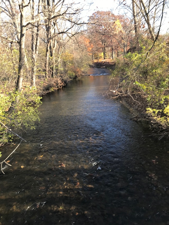 property view of water with a view of trees