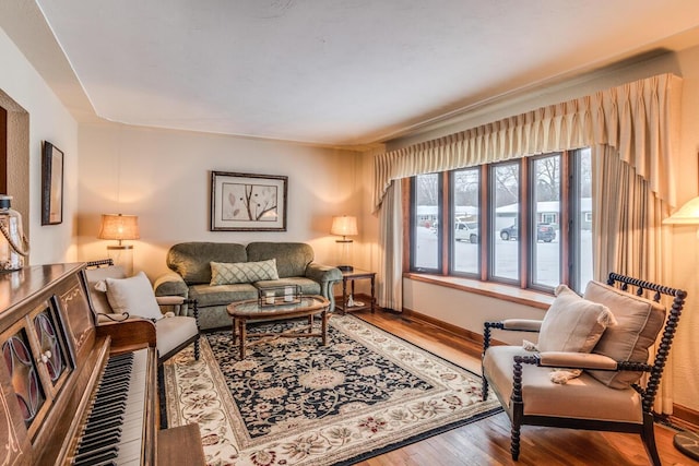 living room with hardwood / wood-style flooring