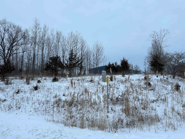 1465 Mcmillan Rd, Owosso MI, 48867 land for sale