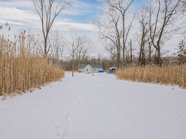 view of yard covered in snow