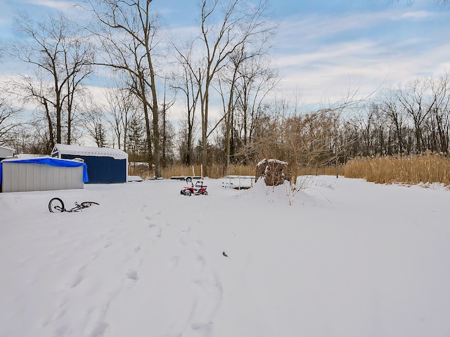 yard covered in snow with a storage unit