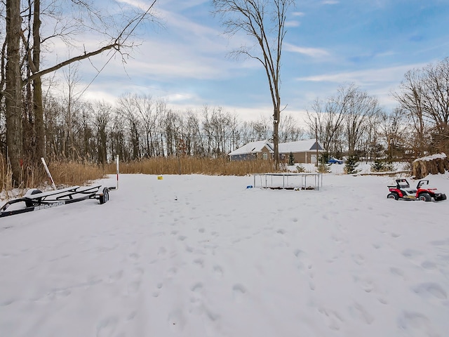 view of yard layered in snow