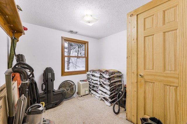 exercise area with carpet and a textured ceiling