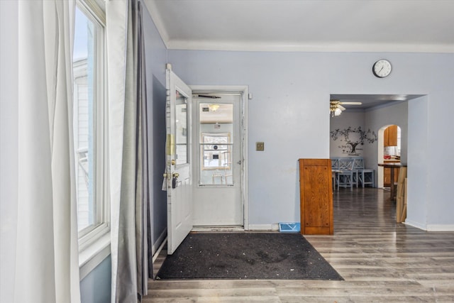 entrance foyer with wood-type flooring