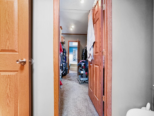 hallway with ornamental molding and carpet floors