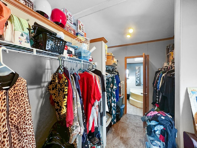 walk in closet with carpet flooring