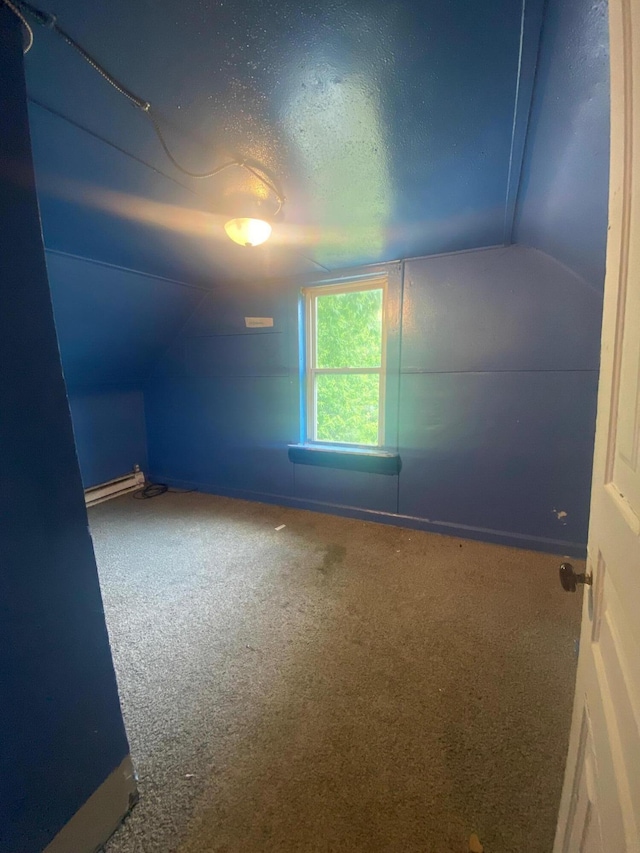 1216 NW Quarry NW, Grand Rapids, MI 49504 - additional living space featuring carpet flooring, a textured ceiling, baseboard heating, and vaulted ceiling