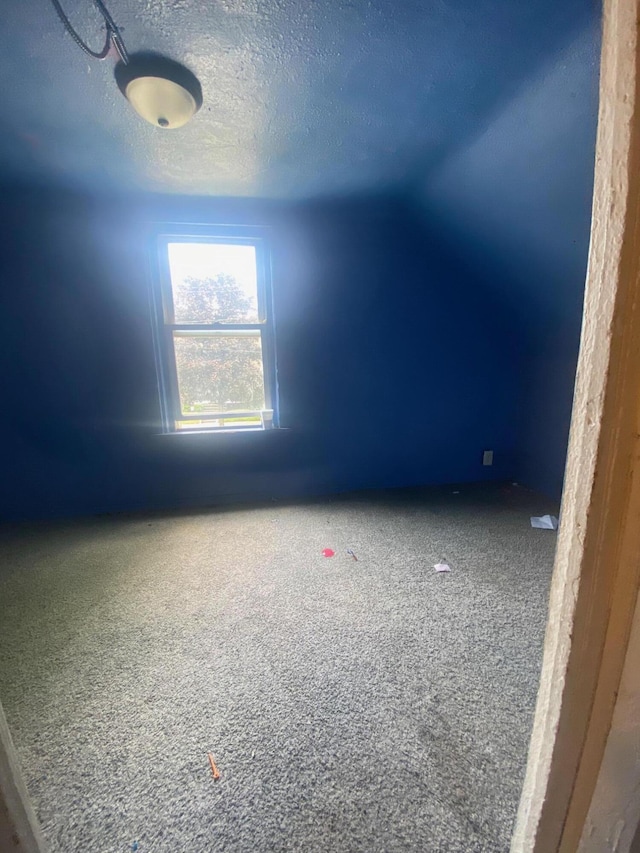 1216 NW Quarry NW, Grand Rapids, MI 49504 - additional living space with a textured ceiling and carpet floors