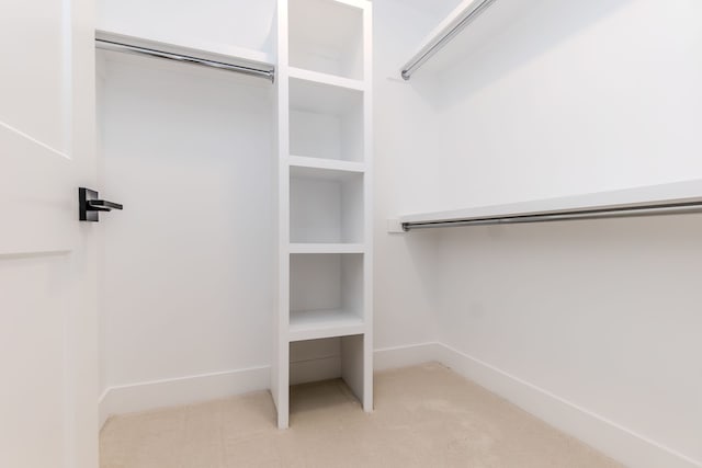 spacious closet featuring carpet