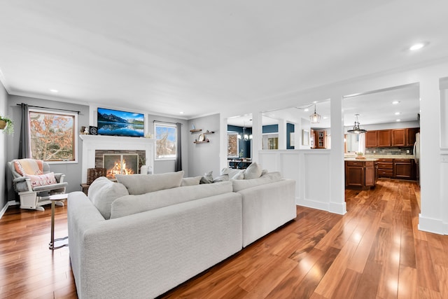 living room featuring a stone fireplace, a healthy amount of sunlight, and light wood-type flooring