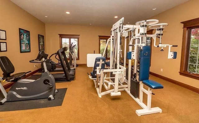 workout area featuring carpet