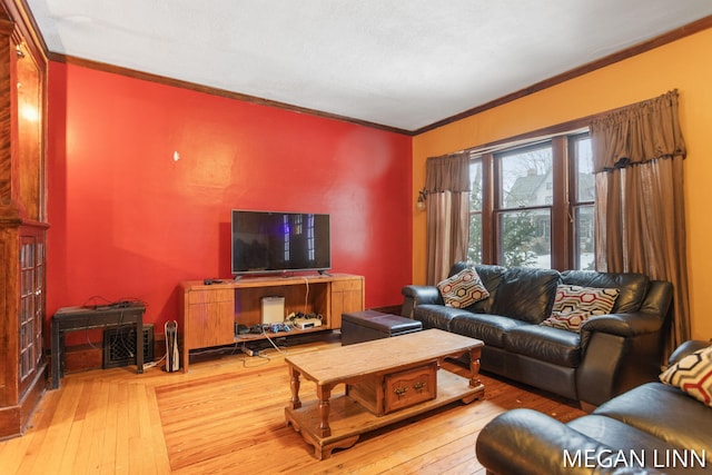 living room featuring crown molding and wood-type flooring