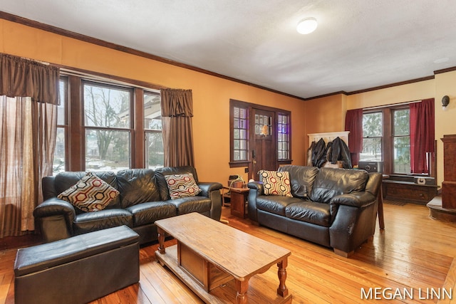 living room featuring ornamental molding and light hardwood / wood-style floors