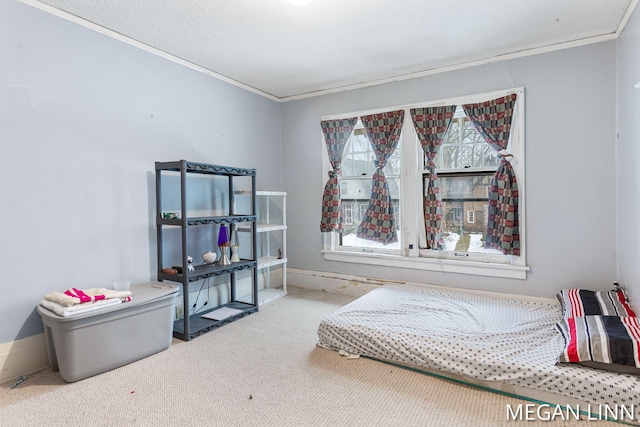 carpeted bedroom featuring crown molding and multiple windows