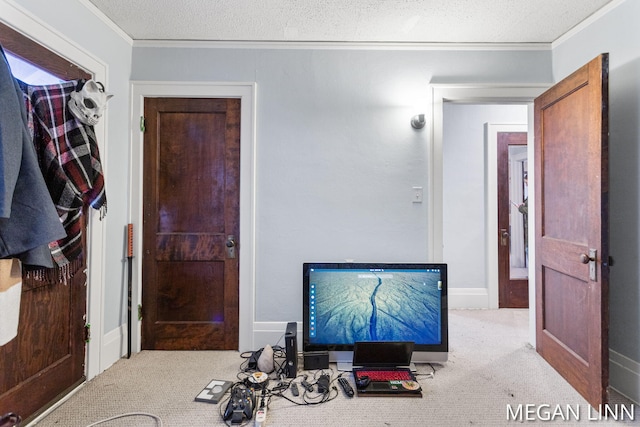 carpeted office featuring crown molding and a textured ceiling