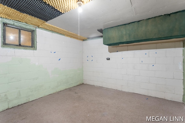 basement with light colored carpet