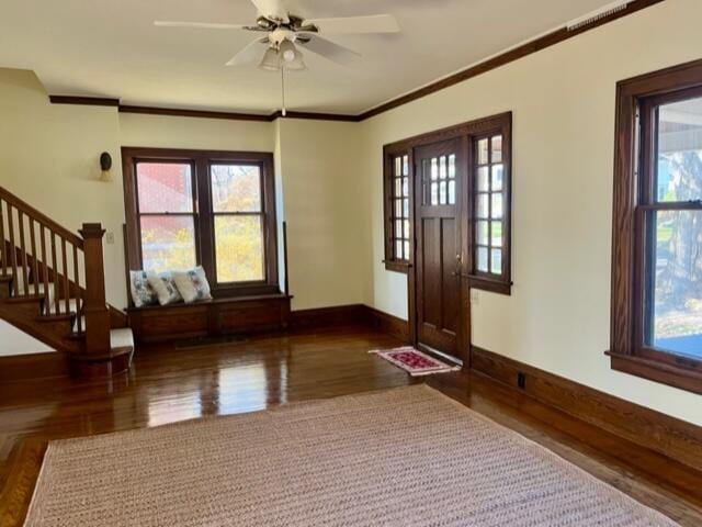 foyer entrance with crown molding, ceiling fan, plenty of natural light, and dark hardwood / wood-style floors