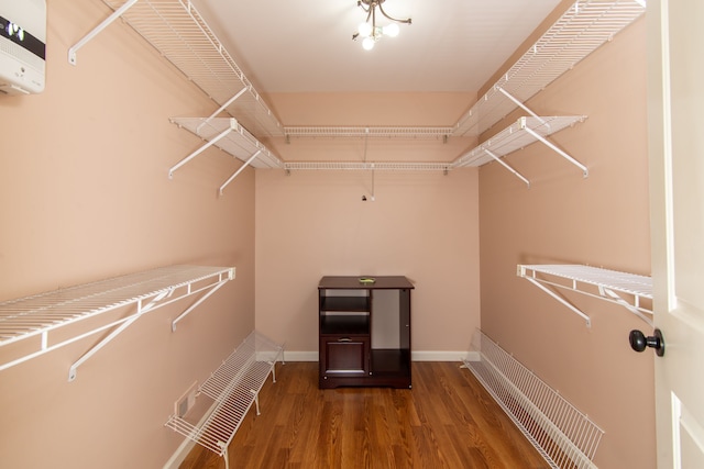 spacious closet with dark wood-style floors